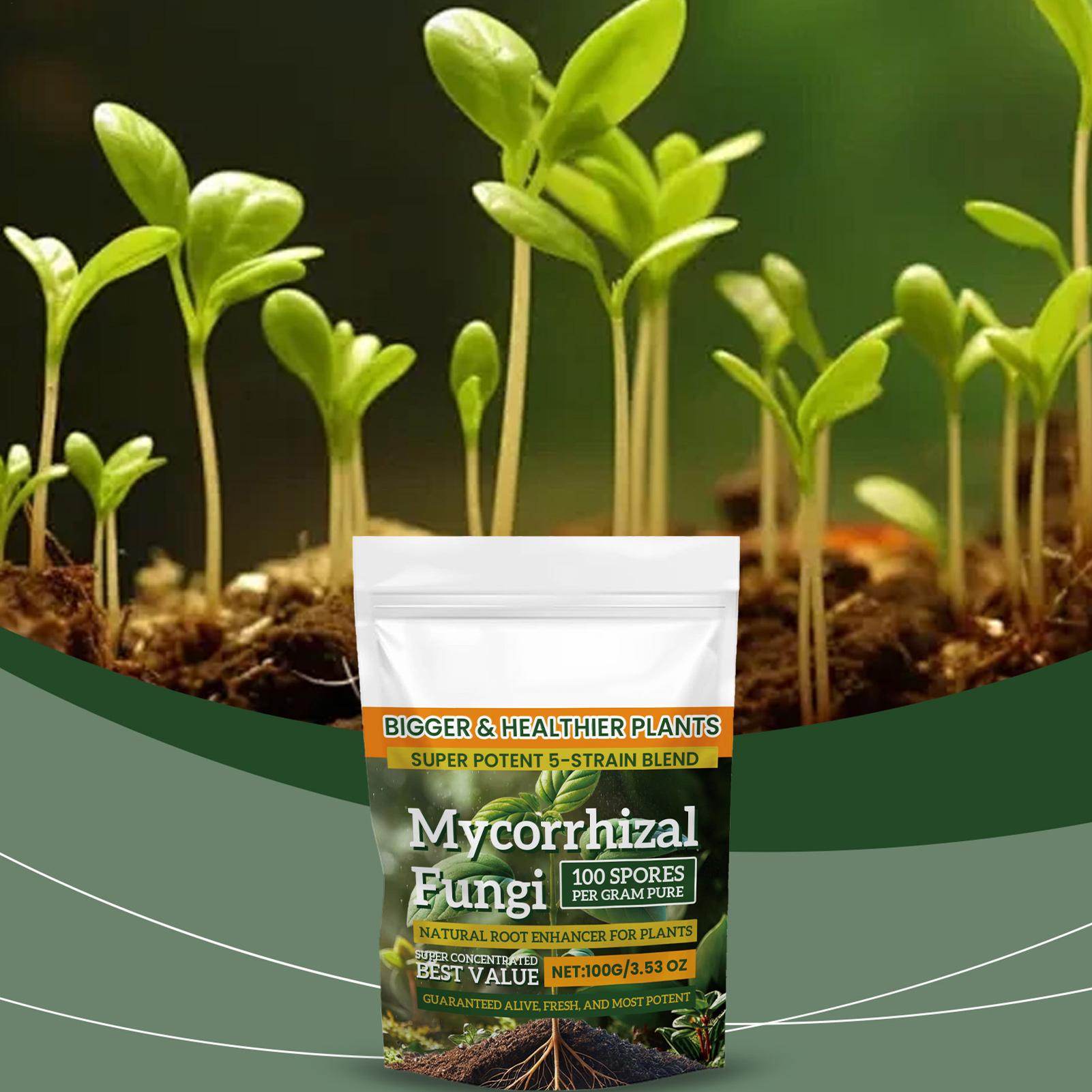 Roots Nutrition & Fitness Inglewood Photos - 100g Proszku Wzmacniającego Korzenie Naturalna, Zrównoważona